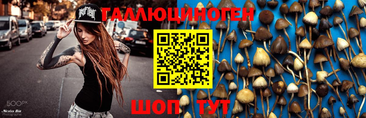 Галлюциногенные грибы мухоморы Калуга